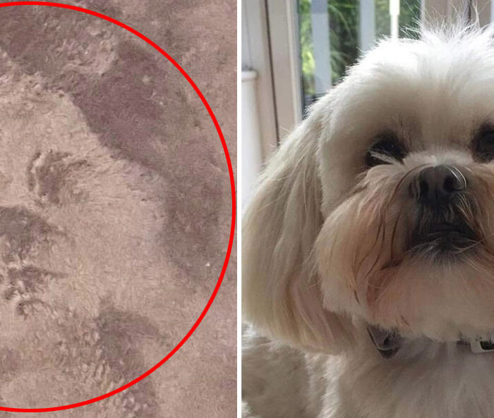 Woman left stunned seeing face of deceased dog in BATH MAT.
