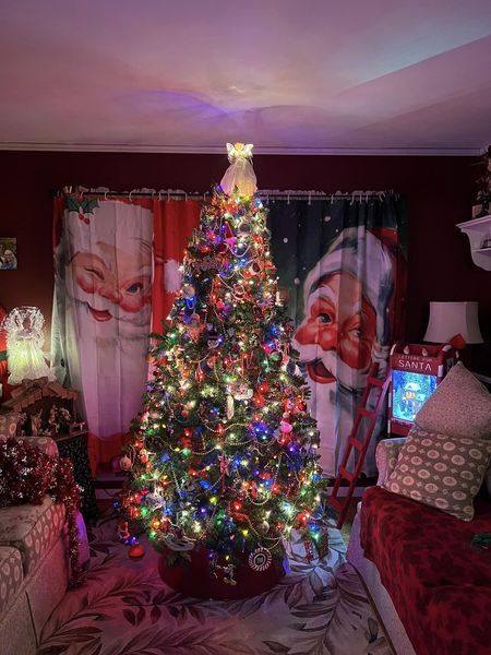 ‘I used SHOWER CURTAINS to create budget Santa’s grotto – my kids think I’m crazy’